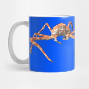 Photo of a Japanese Spider Crab Mug